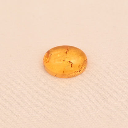 AMBER