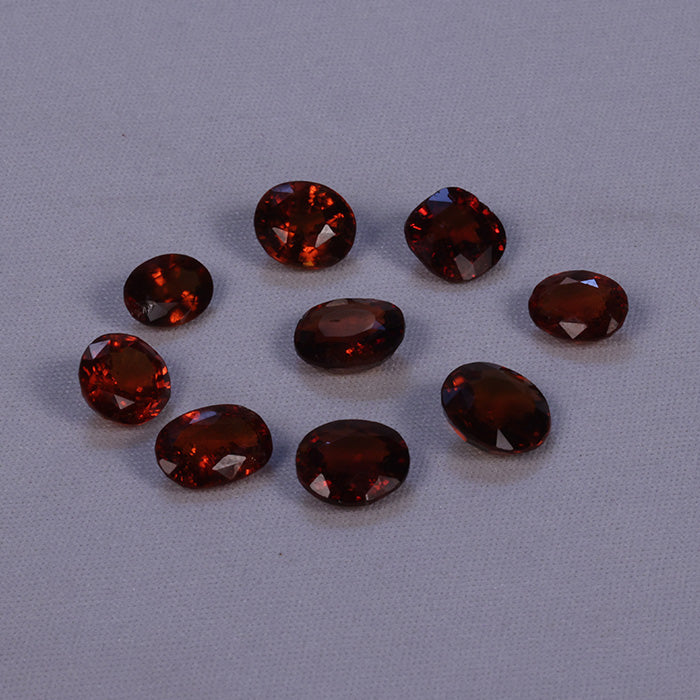 GOMED CEYLON (3 TO 4 crt size)