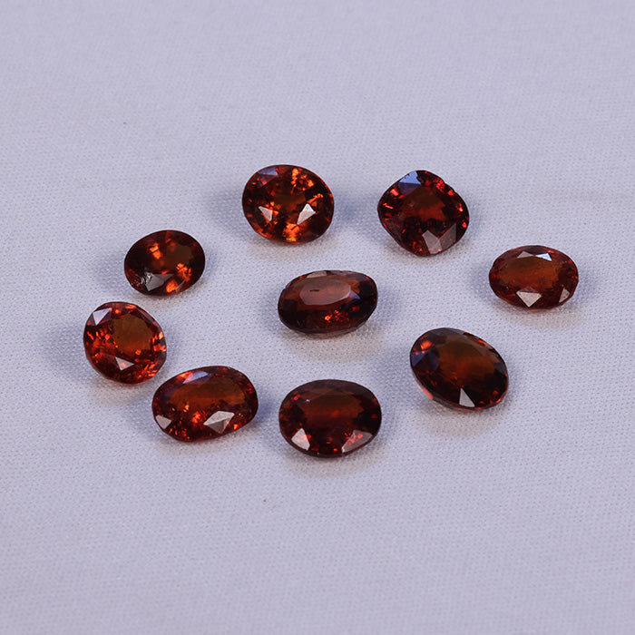 GOMED CEYLON (3 TO 4 crt size)