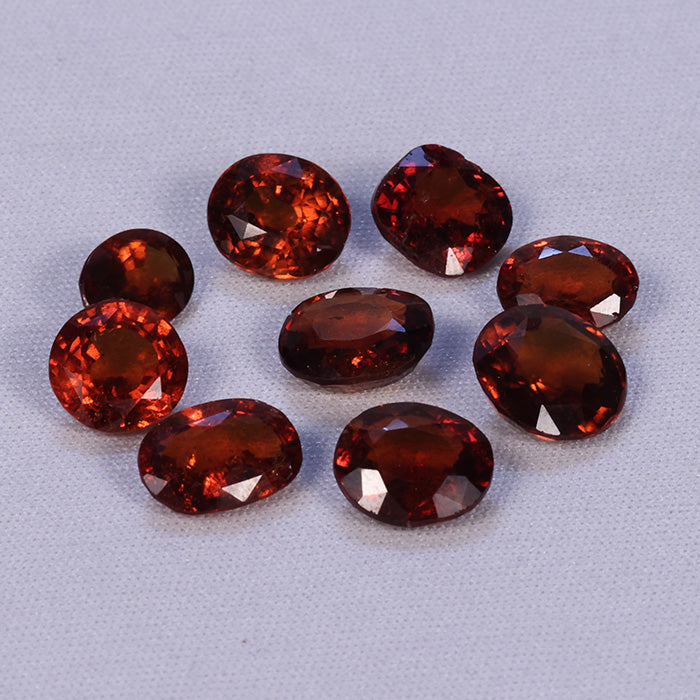 GOMED CEYLON (3 TO 4 crt size)