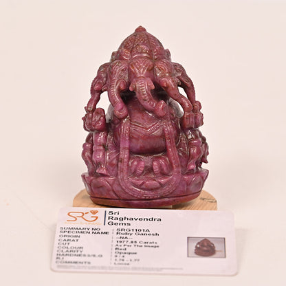 RUBY GANESH