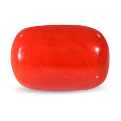 Red Coral (Moonga)